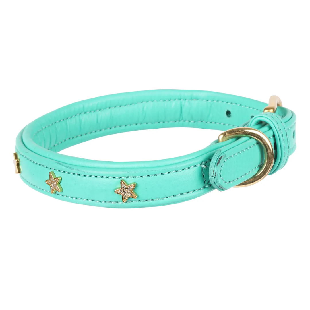 Collier pour chien Shires Digby & Fox Star