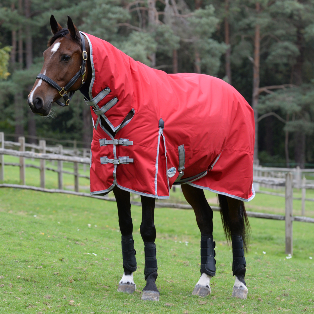 Weatherbeeta ComFiTec Classic Combo Neck Medium Turnout Rug #colour_red-silver-navy
