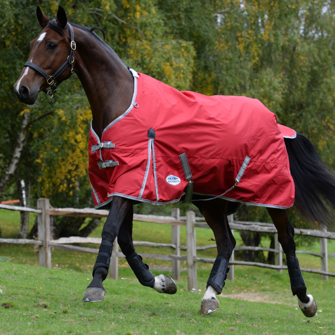 Weatherbeeta Comfitec Classic Standard Neck Lite Rug – GS Equestrian