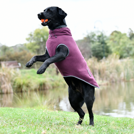 Weatherbeeta Comfitec Fleece Zip Dog Coat #colour_maroon-grey