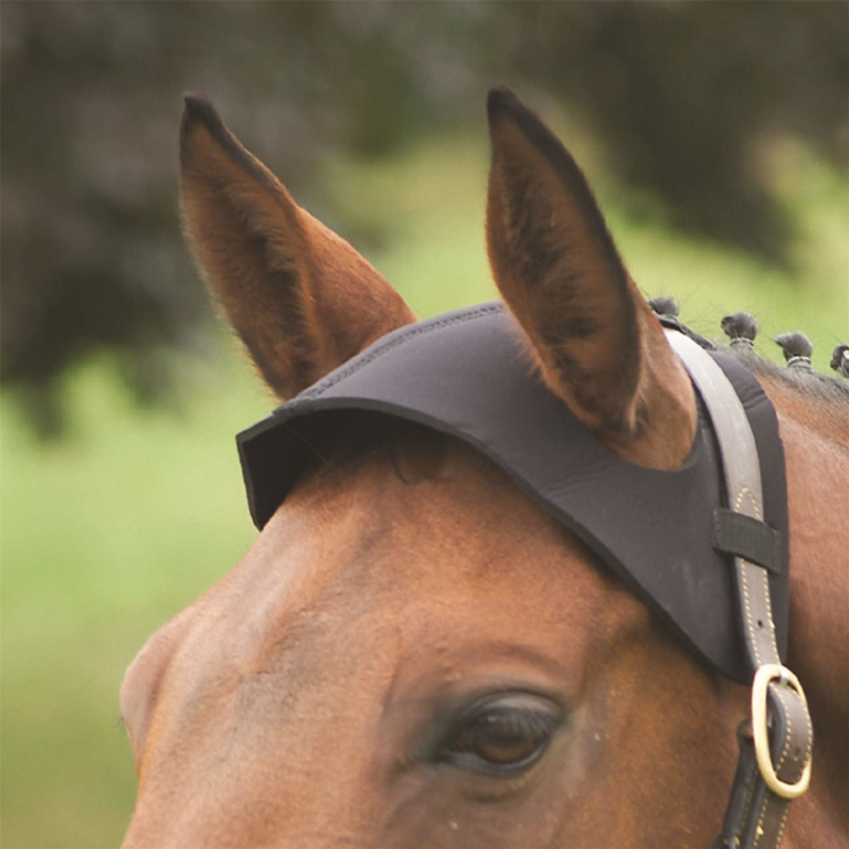 Hy Genickschutz – Schwarz – Cob/Full