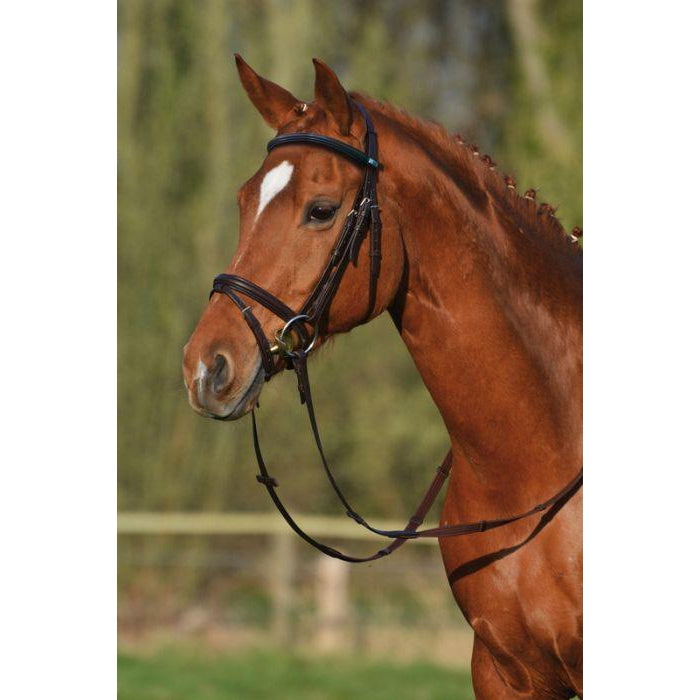 Stubben Leitrim 2300 Trensenzaum