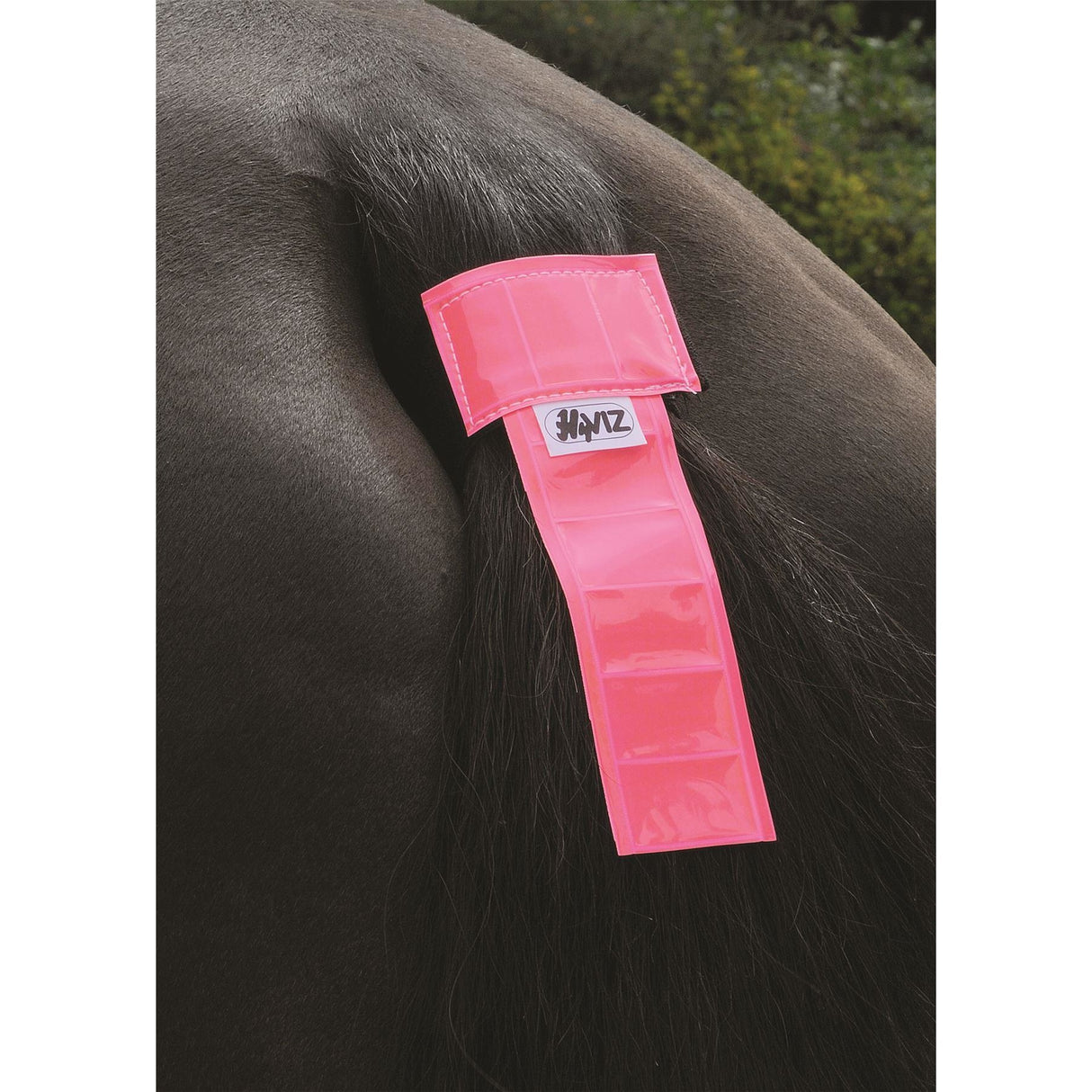 Bande de queue HyVIZ