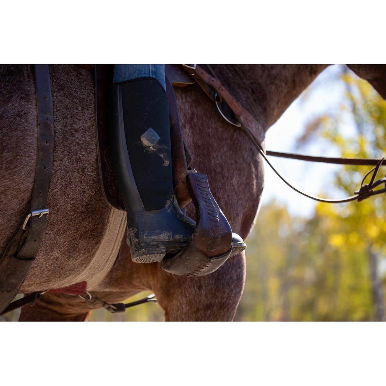 Muck Boots Derby - Bottes en caoutchouc hautes