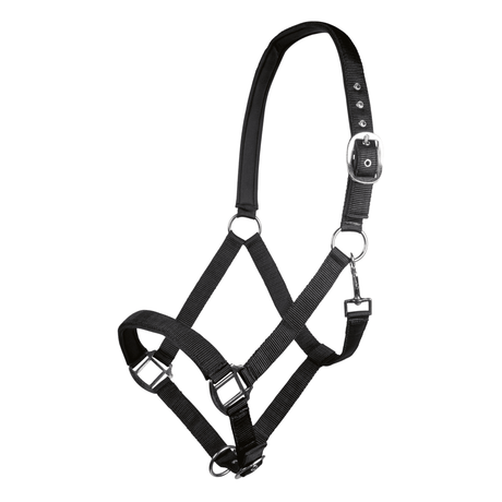 HKM Charming Head Collar #colour_black