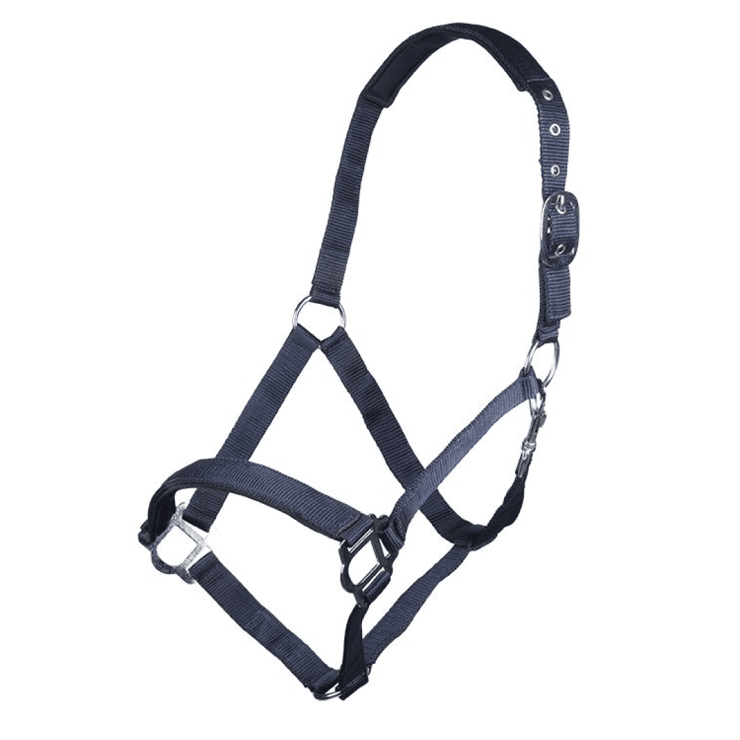 HKM Sydney Style Head Collar With Soft Padding #colour_deep-blue