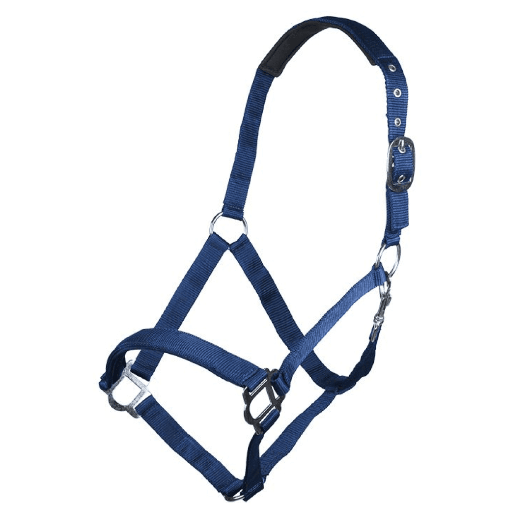HKM Sydney Style Head Collar With Soft Padding #colour_corn-blue