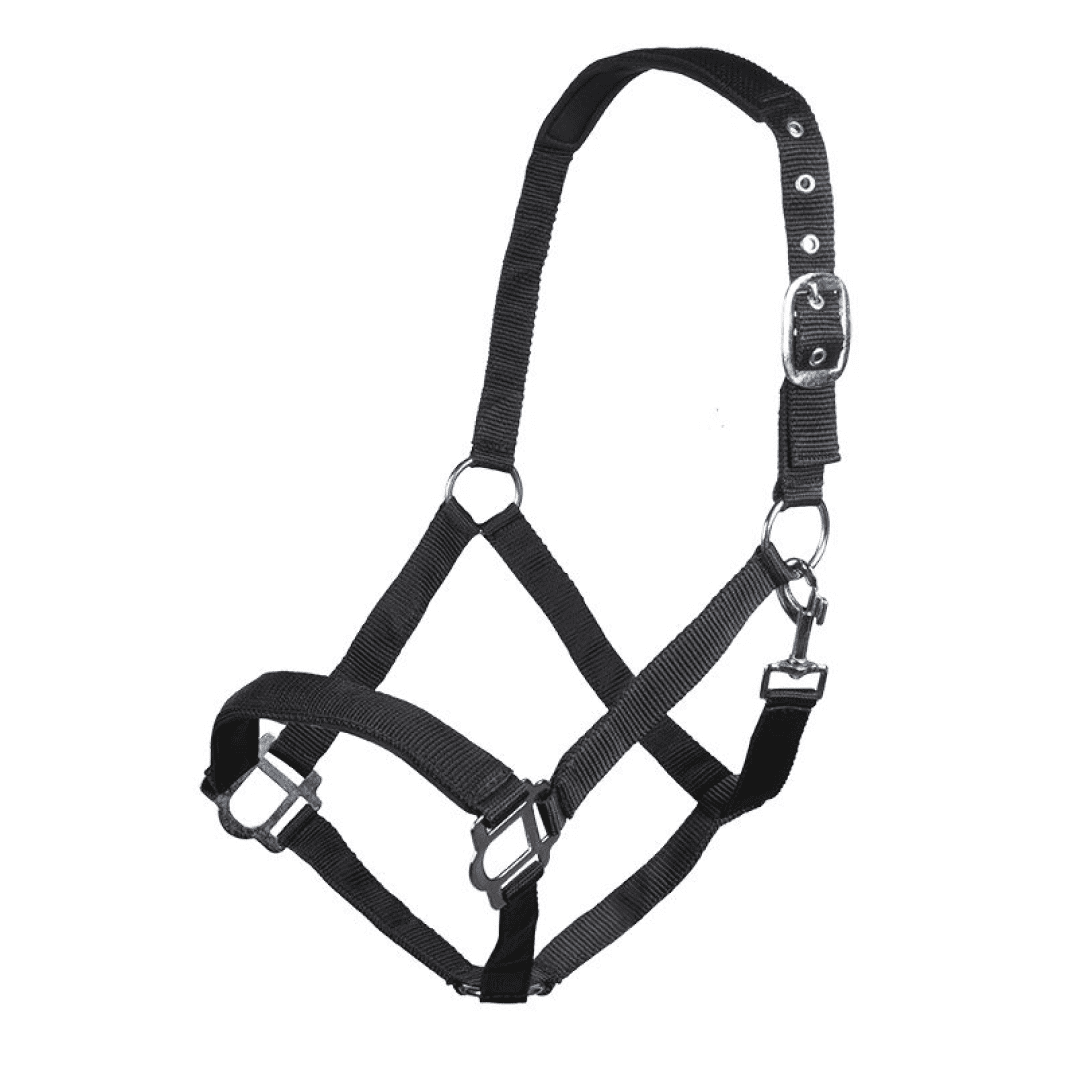 HKM Sydney Style Head Collar With Soft Padding #colour_black