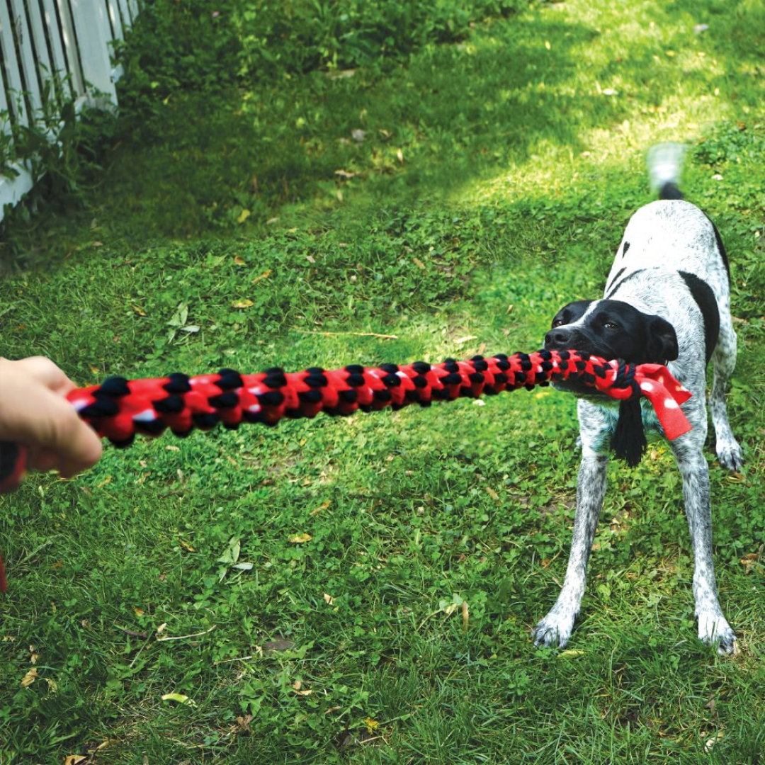 KONG Signature Corde Double Noeud