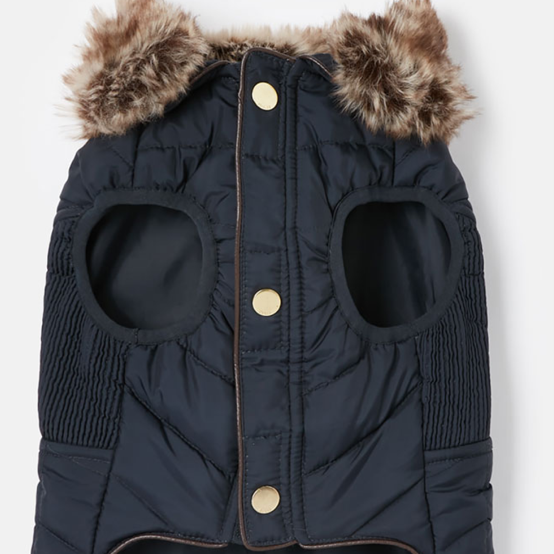 Manteau pour chien Joules Cherington
