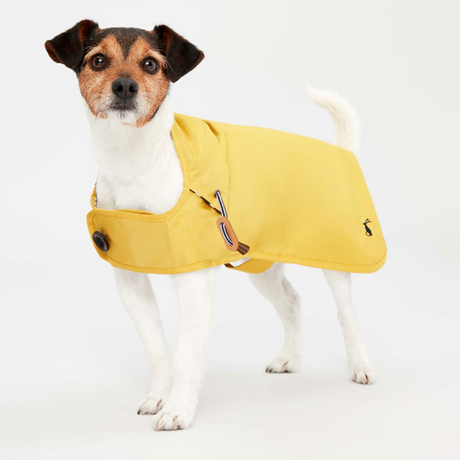 Joules Raincoat #colour_antique-gold