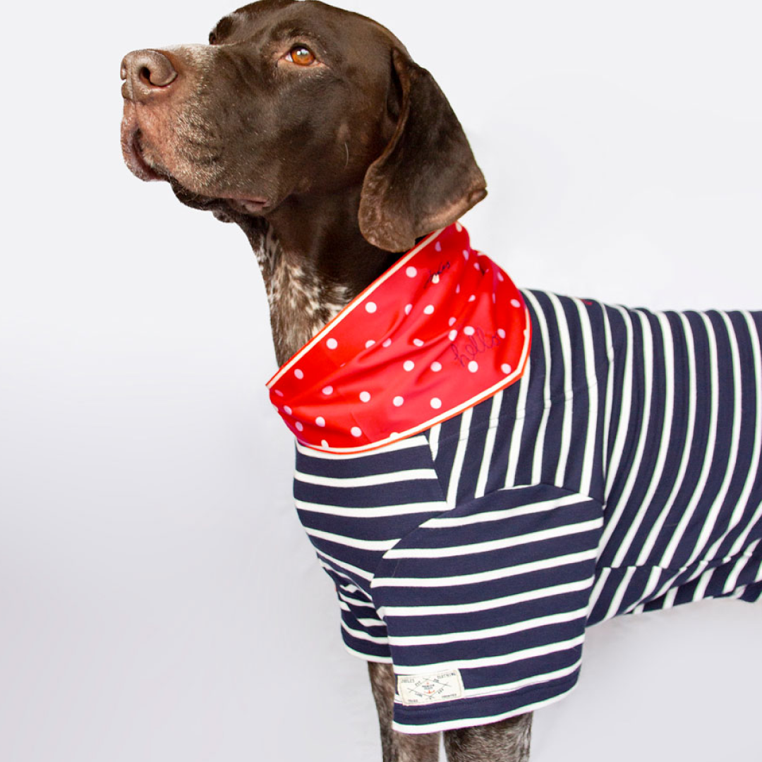 Ensemble haut et foulard Joules Harbour