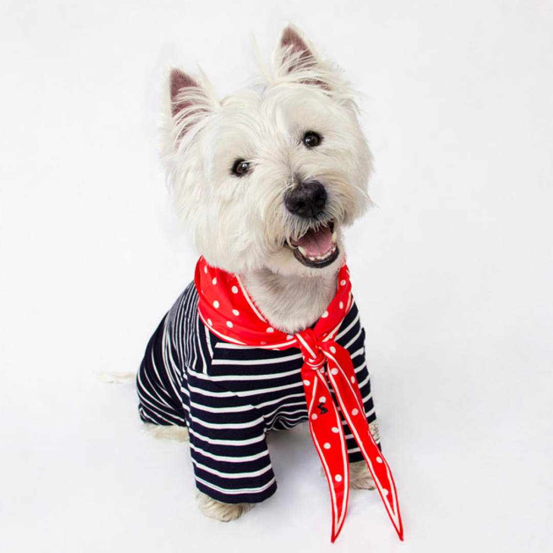 Ensemble haut et foulard Joules Harbour