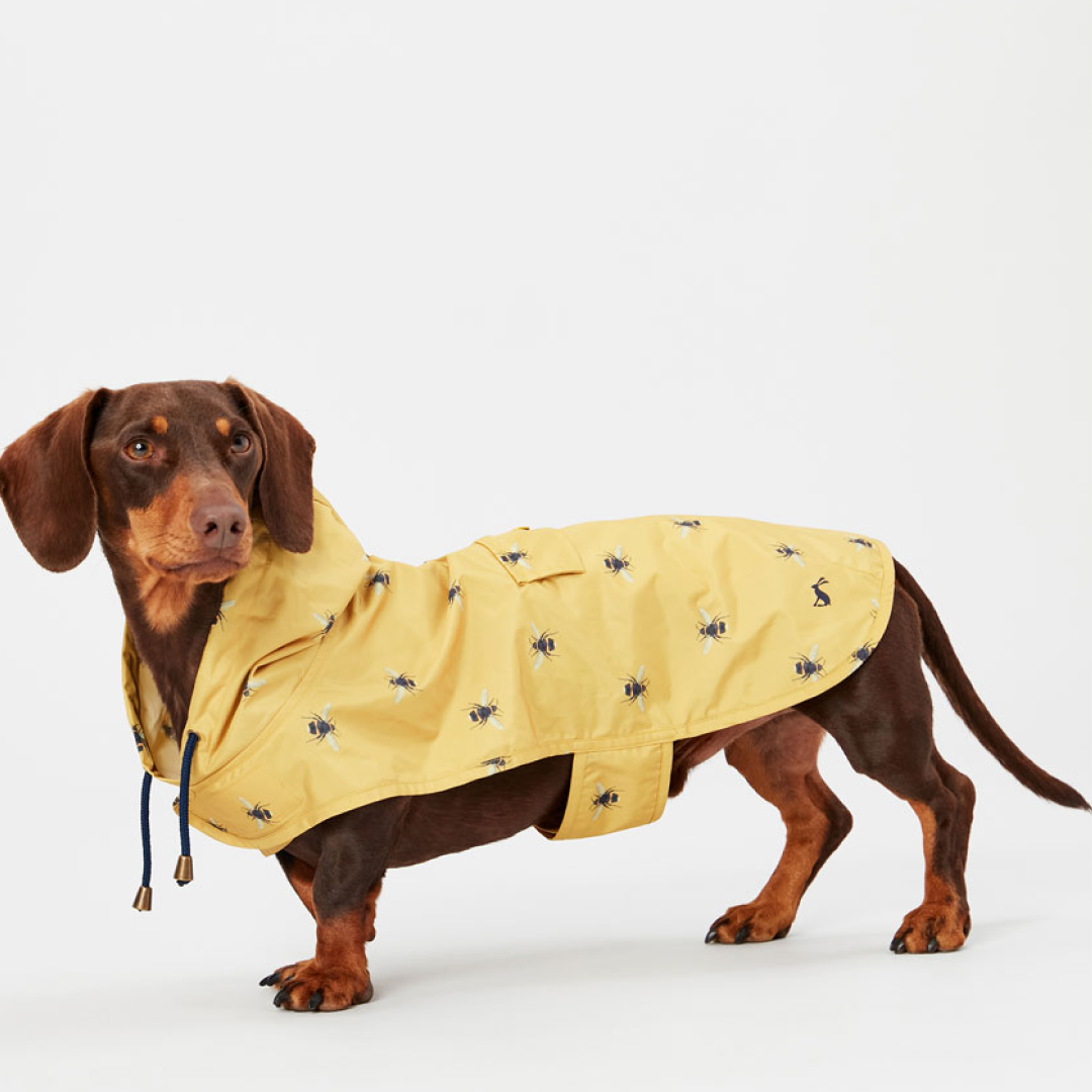 Veste Joules GoLightly pliable