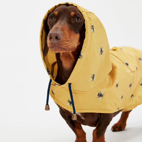Joules GoLightly Packaway-Jacke