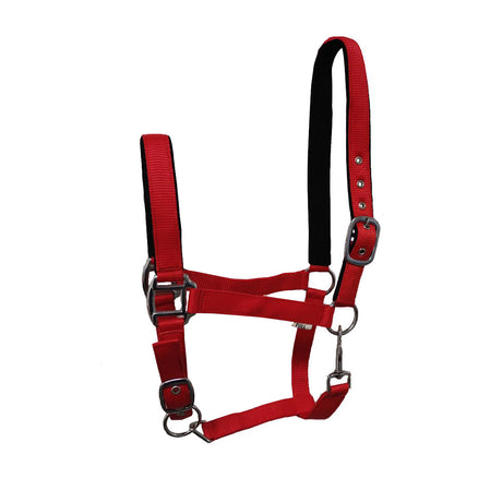GS Equestrian Padded Head Collar #colour_red
