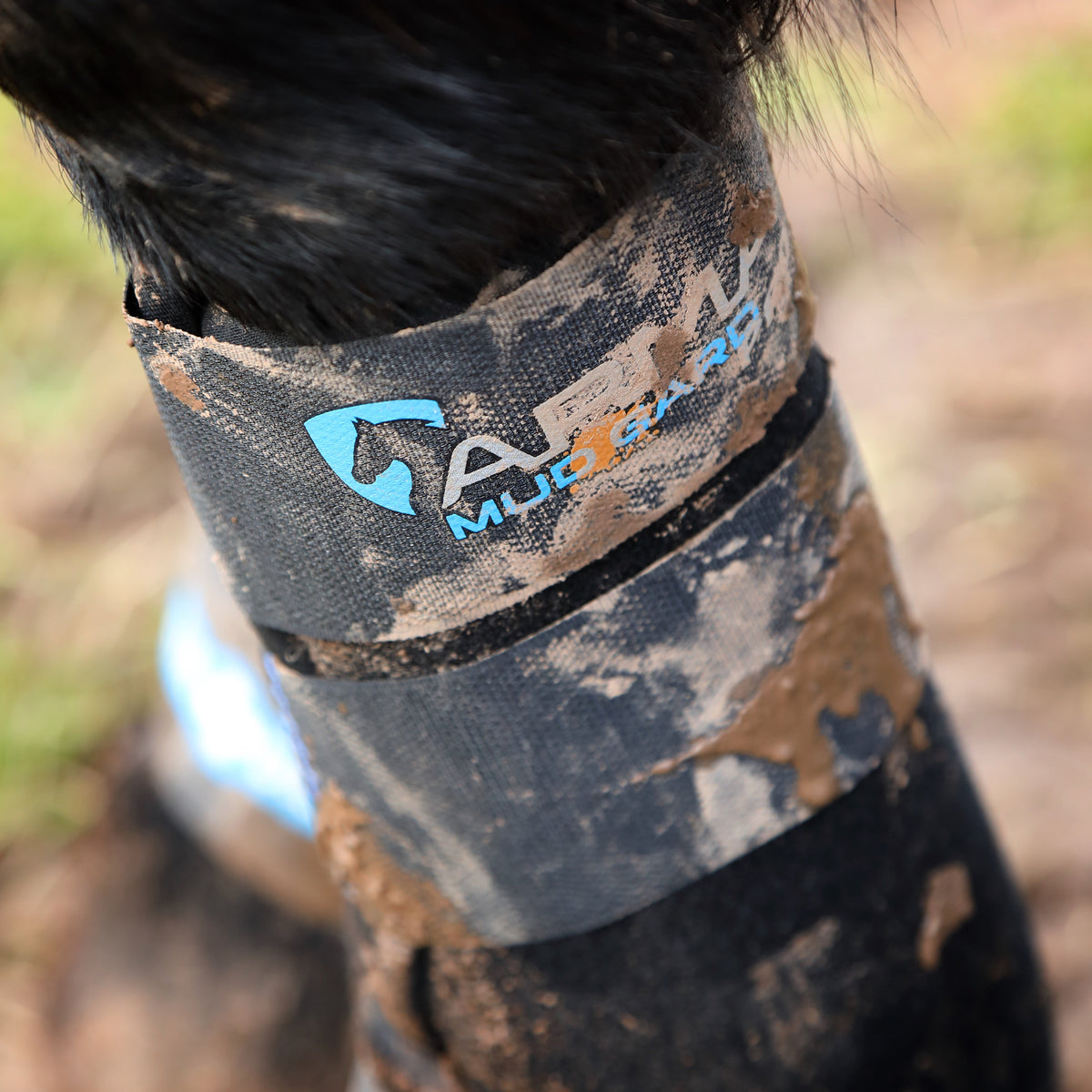 How to Keep Horse Legs Healthy During Muddy Seasons – GS Equestrian