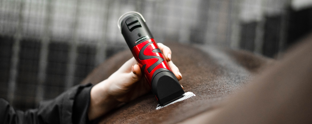 Caring & Using Liveryman Harmony Plus Clippers