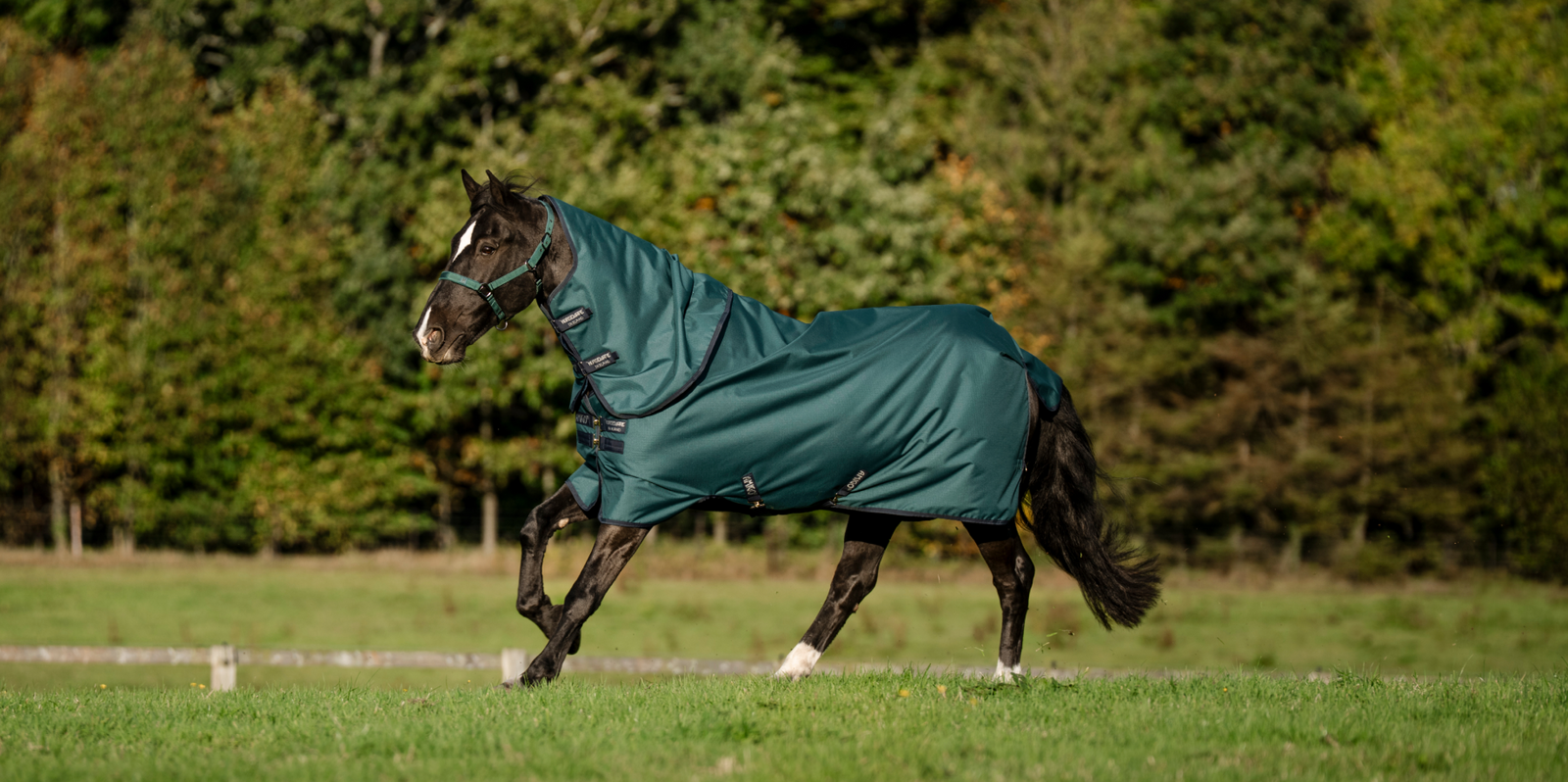 Horseware Ireland Turnout Guide