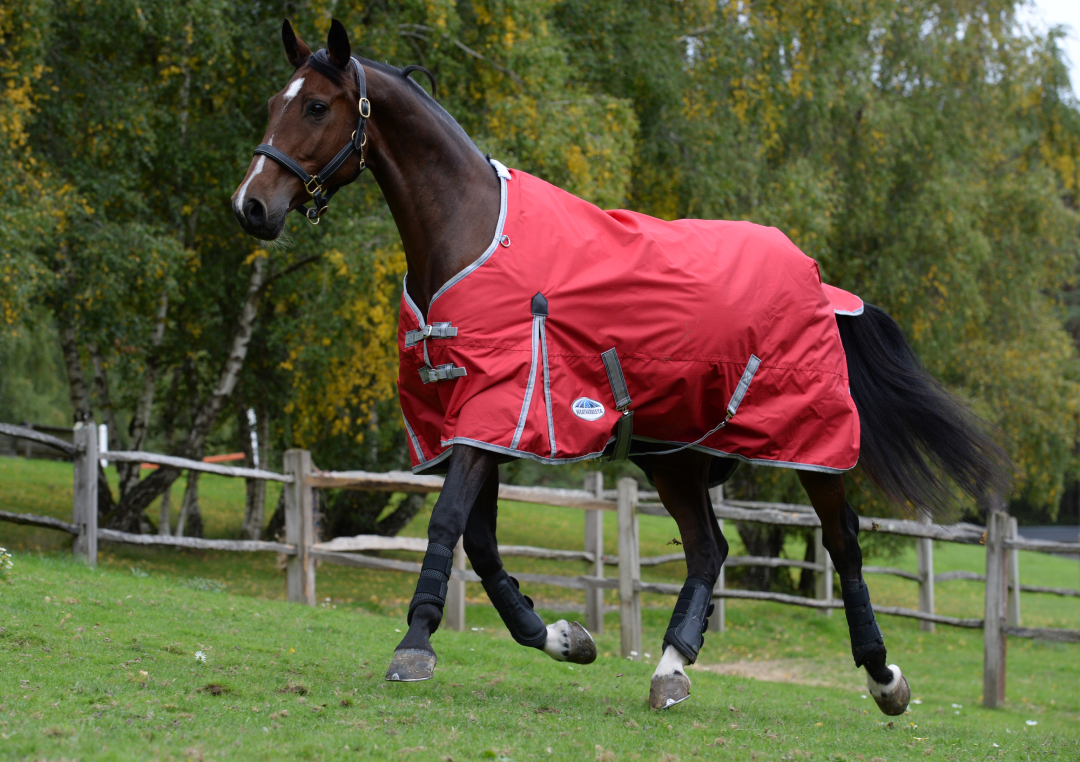 Weatherbeeta Turtle Rug Weatherbeeta Rug Guide | GS Equestrian & Country