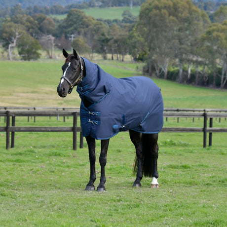 Save on Horse
