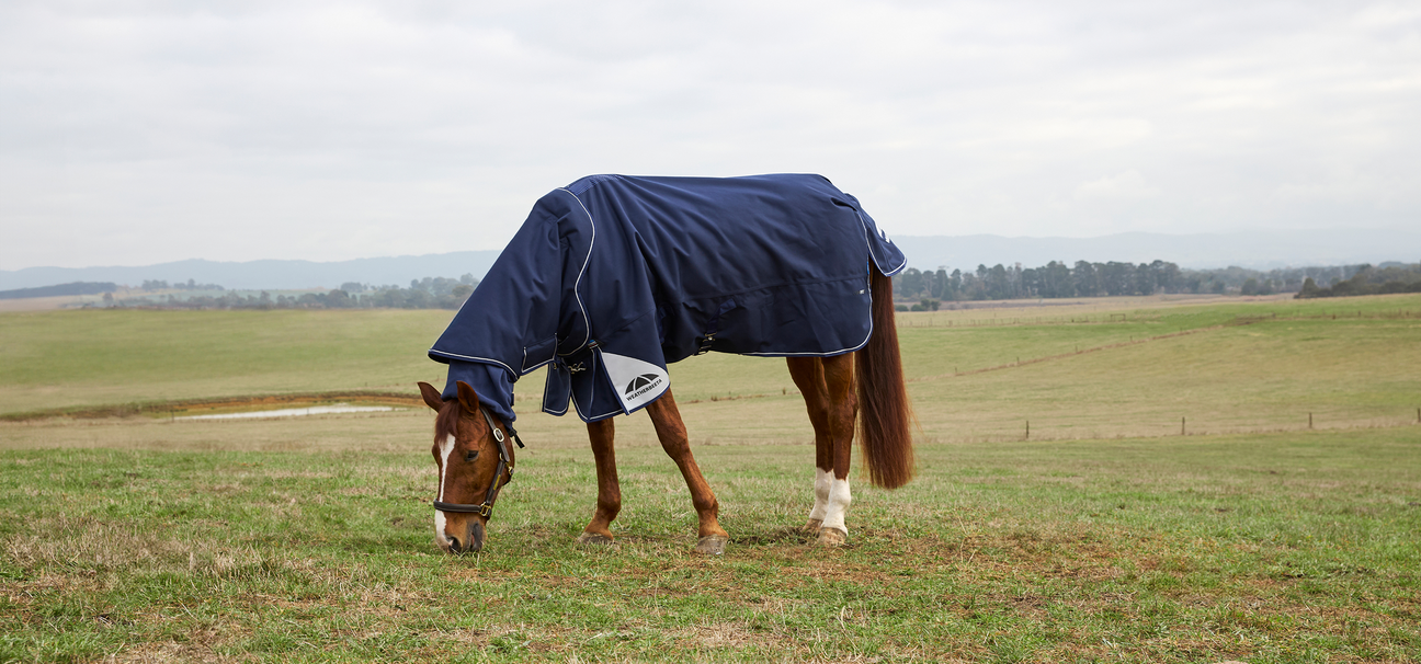 WeatherBeeta AW25 Turnouts