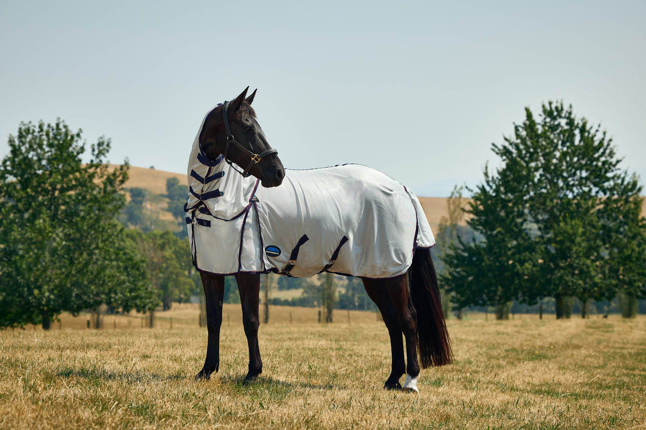 Limited Offer: Free Fly Mask with Airflow Fly Rug