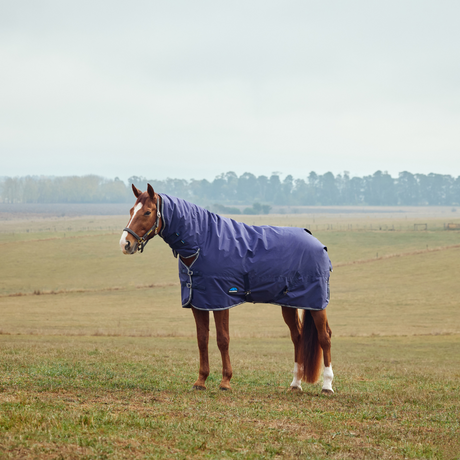 Weatherbeeta Comfitec Tyro 360G Combo Neck Turnout #colour_navy-charcoal