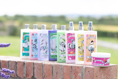 Thelwell Grooming Academy