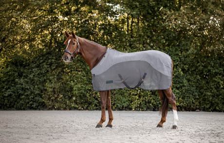 Waldhausen Fly Offer