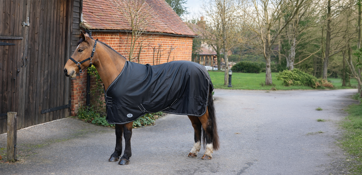 Standard Neck Turnout Rugs