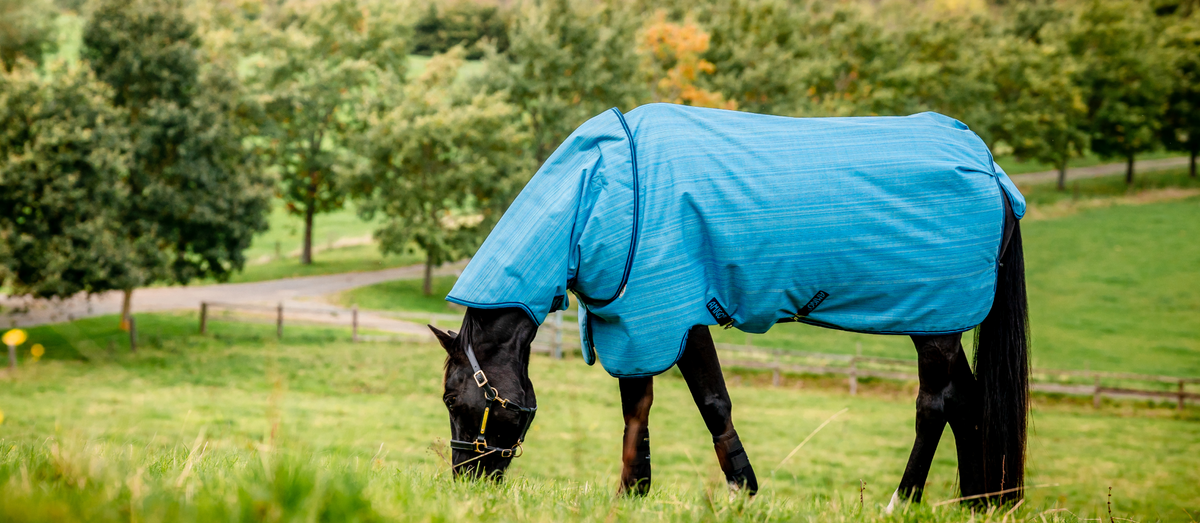 Detachable Neck Turnout Rugs