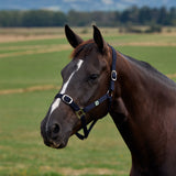 Dublin Everyday Nylon Headcollar for Horses