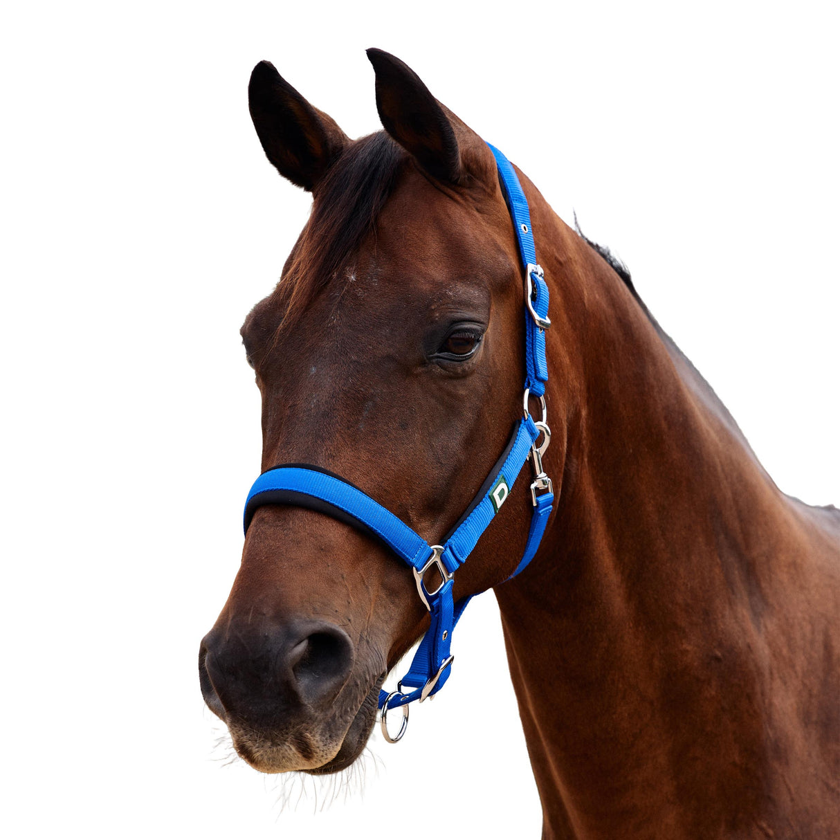 Dublin Neo Comfort Padded Neoprene Horse Headcollar