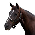 Dublin Everyday Nylon Headcollar for Horses