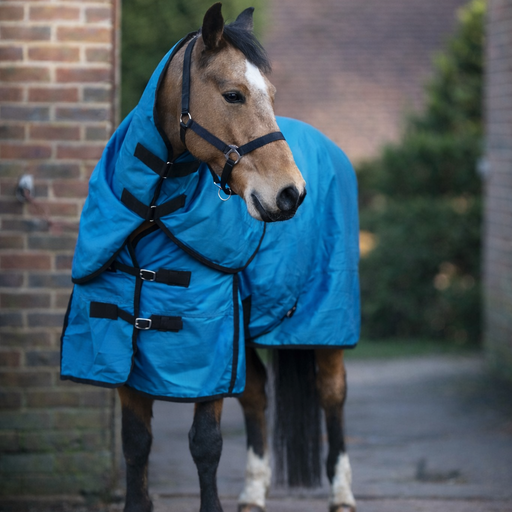 GS Equestrian 100g Detachable Neck Turnout Rug #colour_teal-black