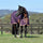 Weatherbeeta ComFiTec Essential Combo Neck Medium Turnout Rug #colour_plum-orange-grey