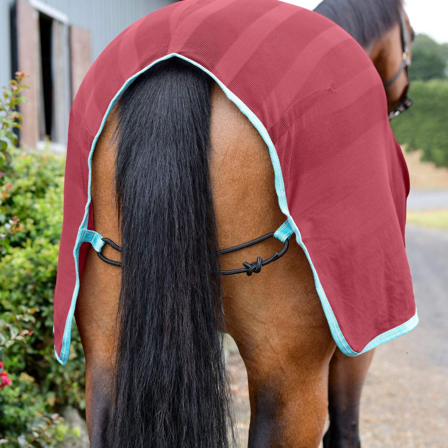 Weatherbeeta Scrim Cooler Standard Neck #colour_red-blue-beige