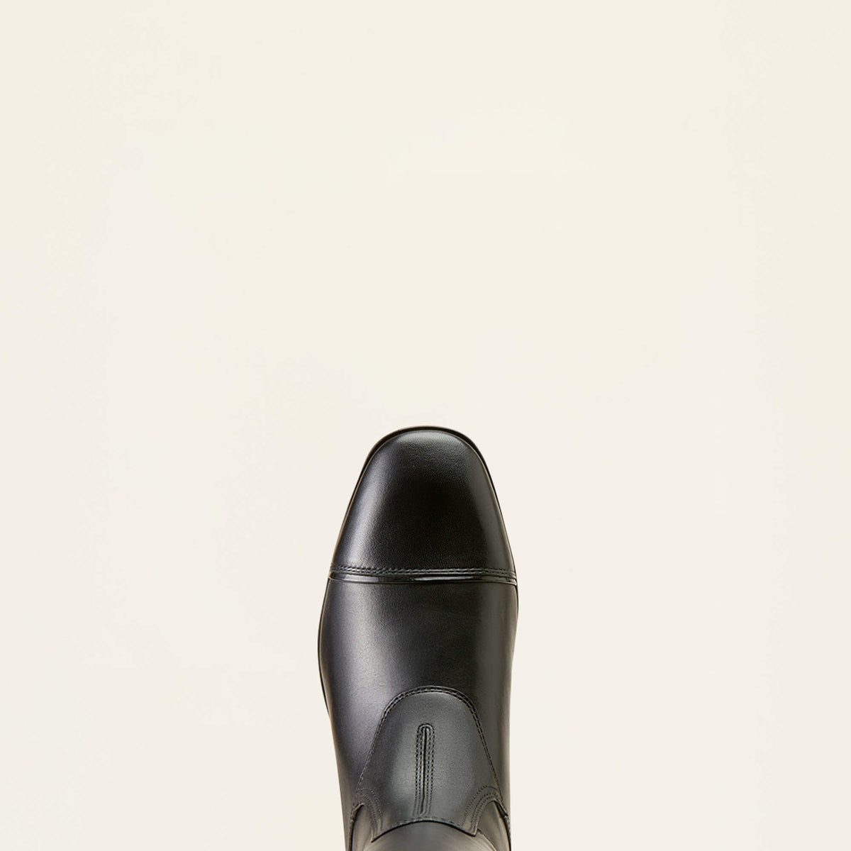 Ariat Women's Palisade Show Tall Riding Boot - Black
