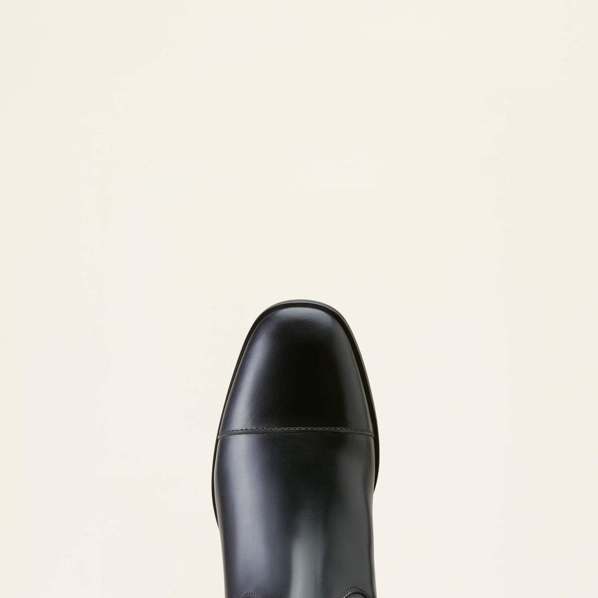 Ariat Women's Ravello Dress Tall Riding Boot - Black Calf
