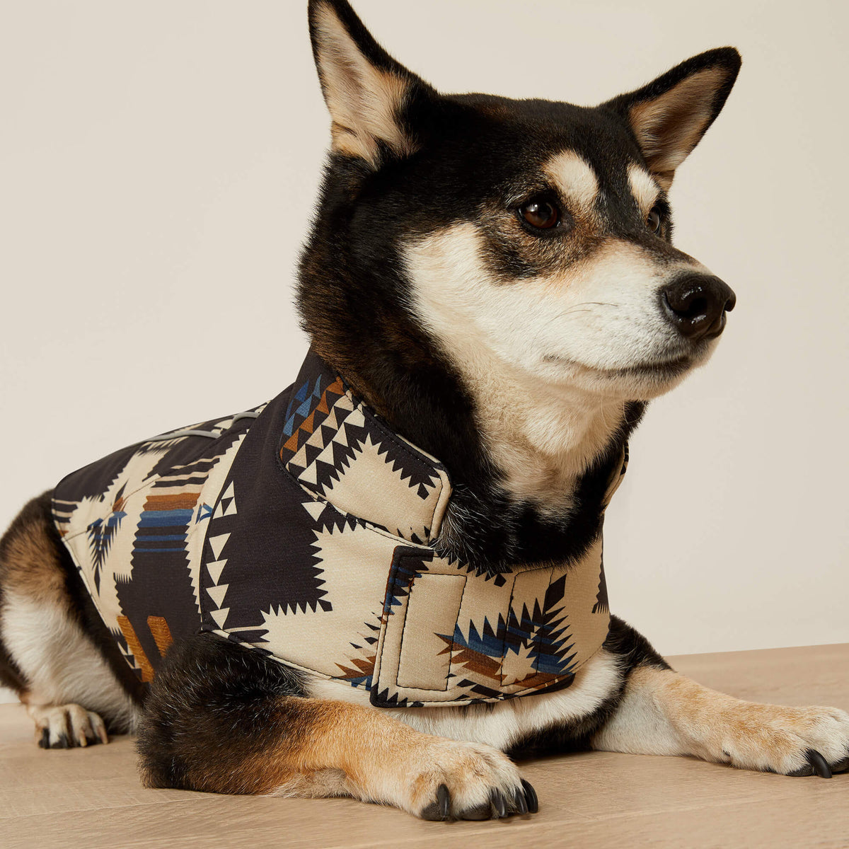 Ariat Team Softshell Dog  Jacket