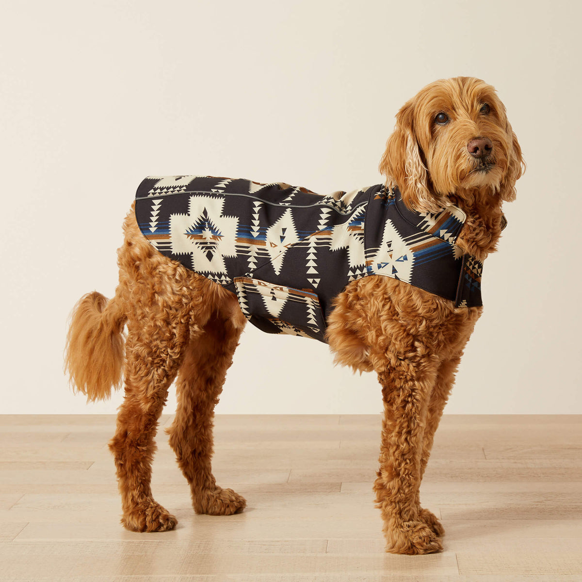 Ariat Team Softshell Dog  Jacket