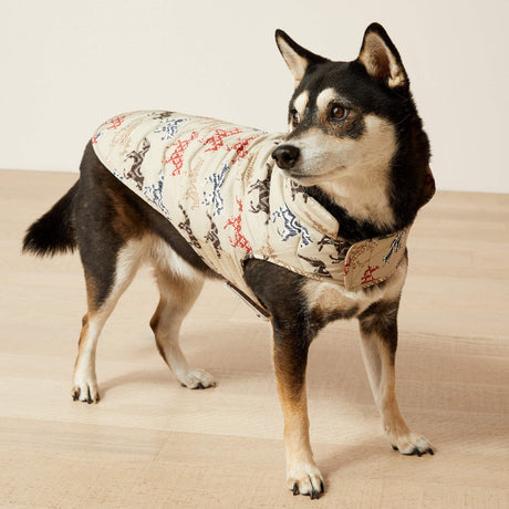 Ariat Pup Puffer Jacket