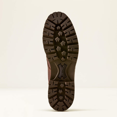 Ariat Men's Moorland Bison Boot