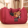 Shires Digby & Fox Nest Dog Bed #colour_maroon