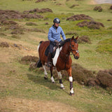 Shires Aubrion Core Ladies Half Zip Fleece