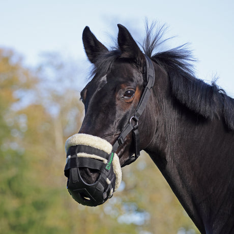 Shires FreeGraze Deluxe AirFlow Grazing Muzzle #colour_black