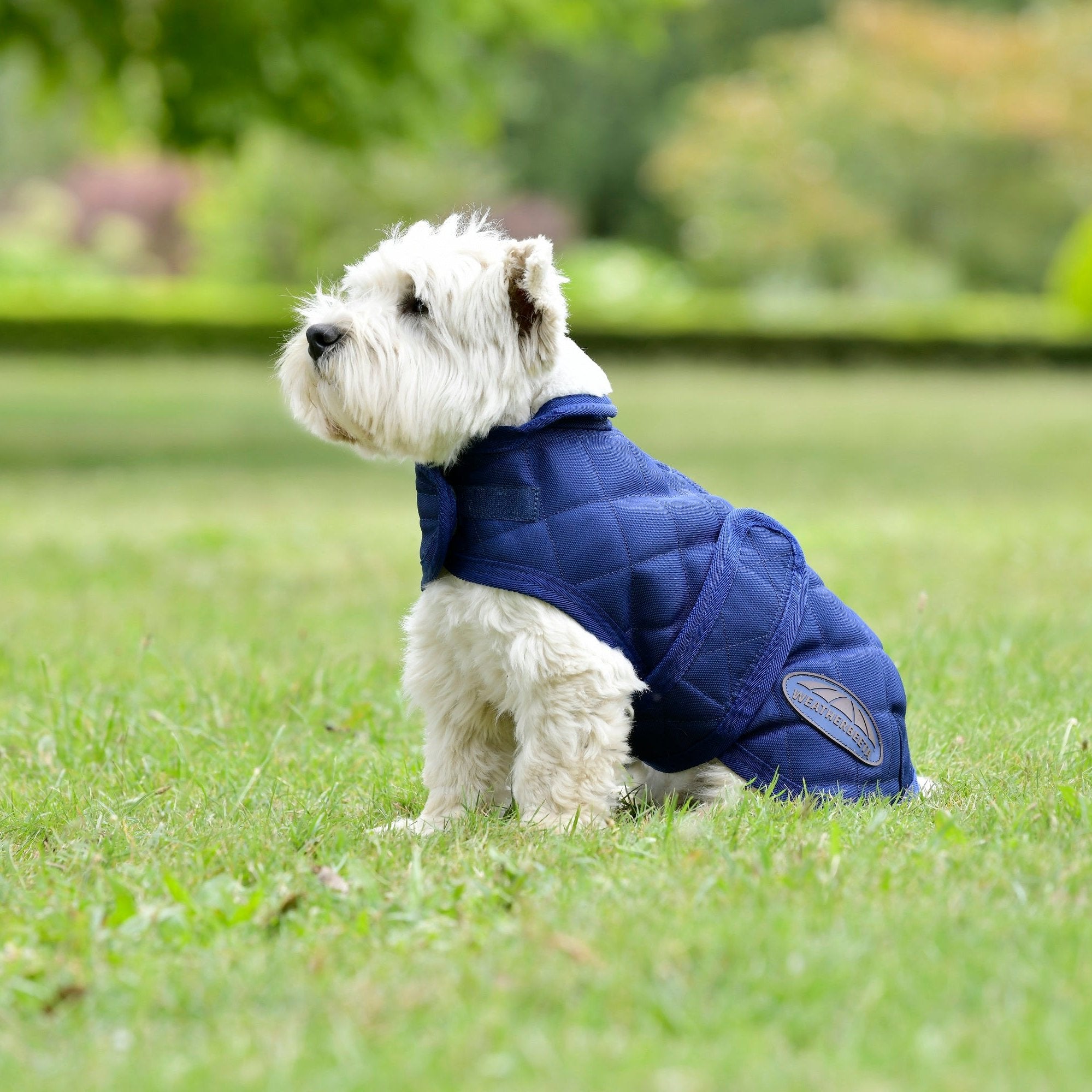 Weatherbeeta Comfitec Premier Free Duo Delux Hundemantel – Wasserfester Parka Mit Fleece-Innenfutter (Dunkelblau/Grau/Weiß)