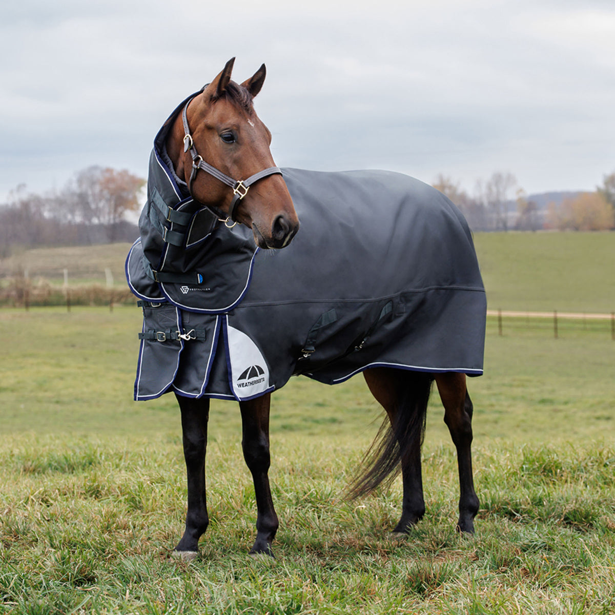 Weatherbeeta Comfitec Ultra Turnout Detach-A-Neck 360g