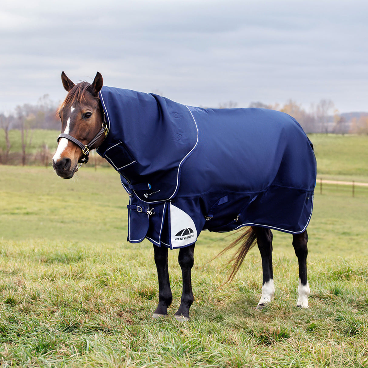 Weatherbeeta Comfitec Ultra Turnout Detach-A-Neck 360g